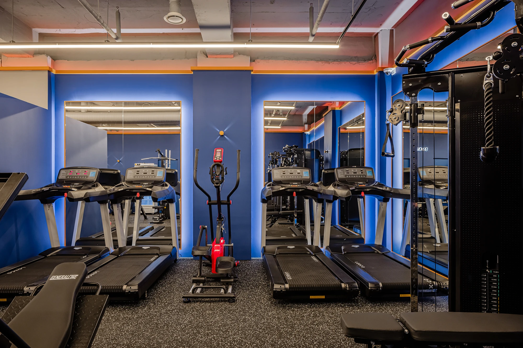 선릉 웰니스 웍스 image 5