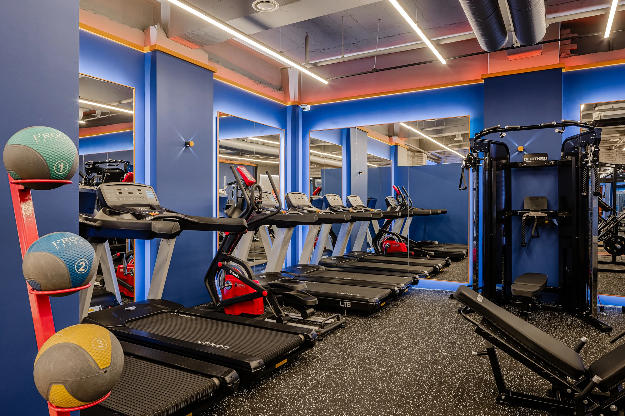 선릉 웰니스 웍스 image 4