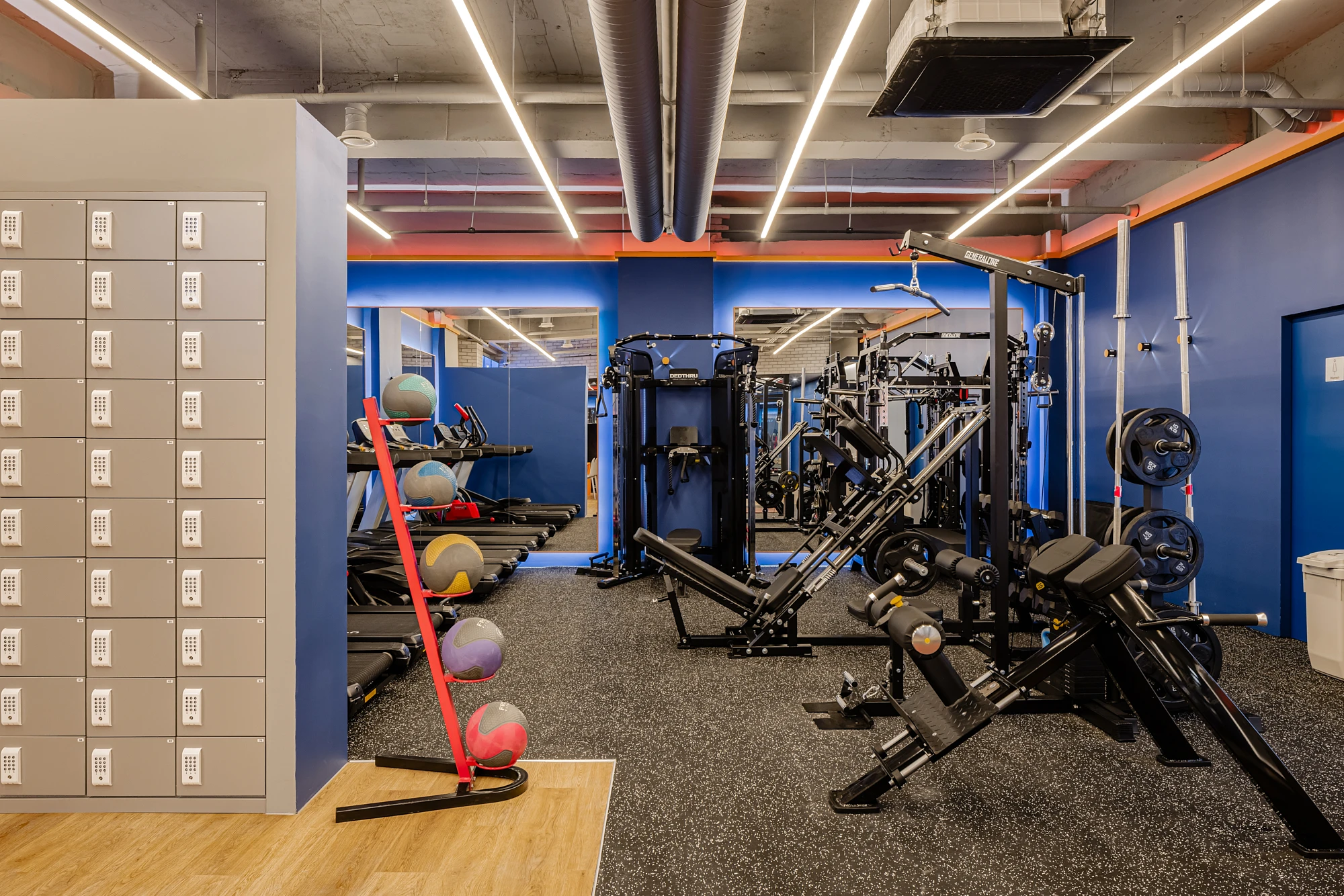 선릉 웰니스 웍스 image 3