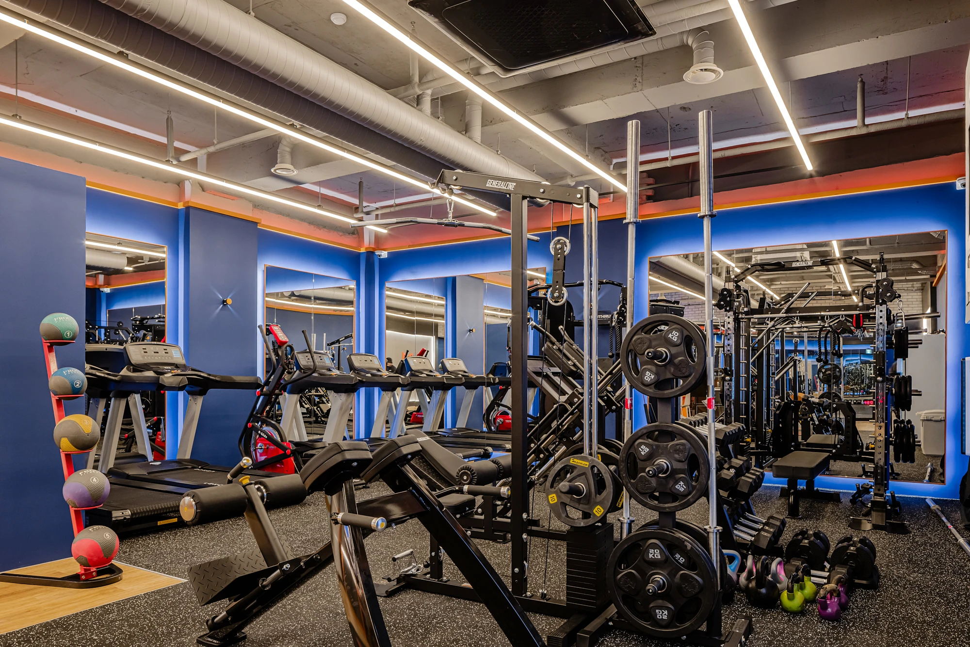 선릉 웰니스 웍스 image 6